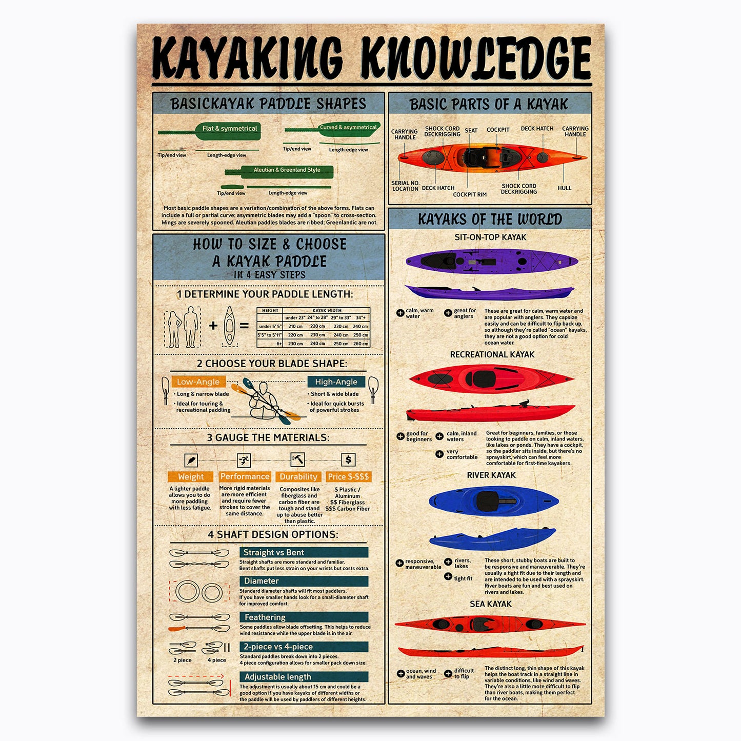 Mandolin Knowledge Poster, Music Instruments Vintage Canvas Wall Art For Classroom, Studio, Girls Decor, Gifts For Mandolinist, Musicians, Students, Geeks, Nerds, Educational Print Chart For Kids